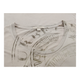 Vintagebeige Burberry T-Shirt - mens small
